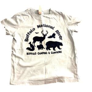 Light blue Buffalo National River tee